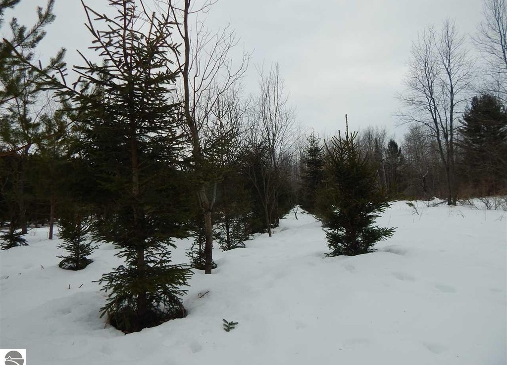 Lindy Rd, Thompsonville, Michigan 49683 Trophy Class Real Estate