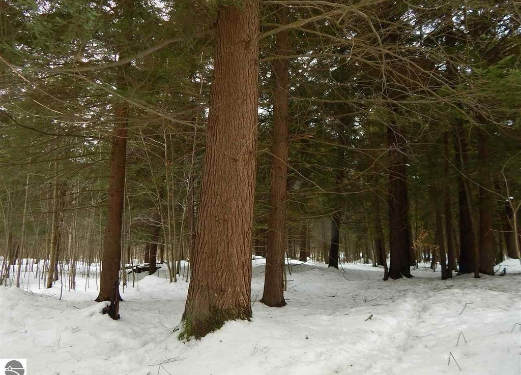 Lindy Rd, Thompsonville, Michigan 49683 Trophy Class Real Estate