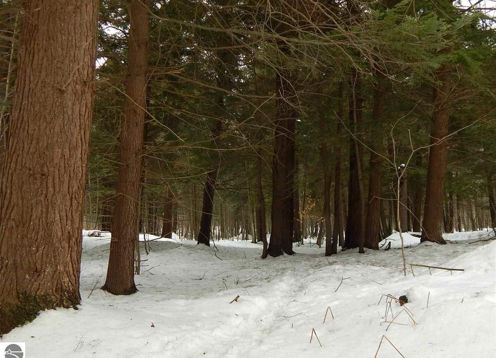 Lindy Rd, Thompsonville, Michigan 49683 Trophy Class Real Estate