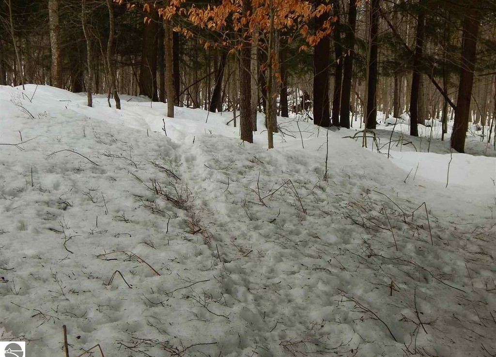 Lindy Rd, Thompsonville, Michigan 49683 Trophy Class Real Estate