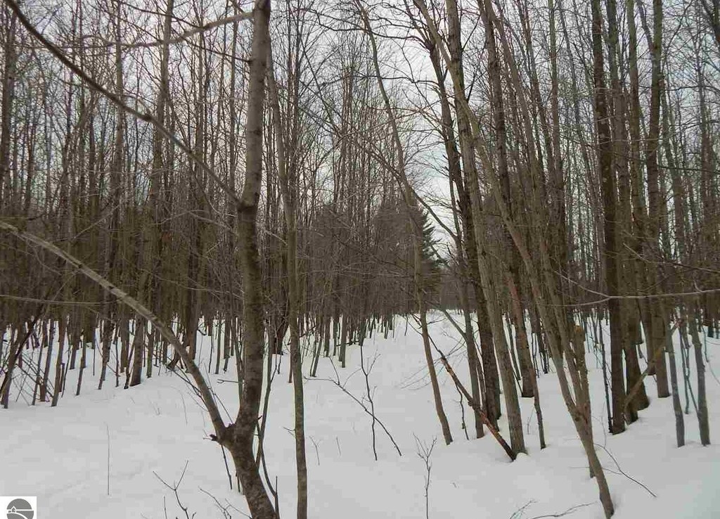 Lindy Rd, Thompsonville, Michigan 49683 Trophy Class Real Estate