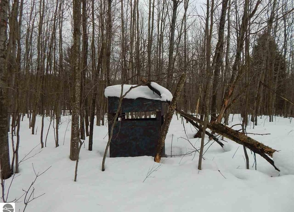 Lindy Rd, Thompsonville, Michigan 49683 Trophy Class Real Estate