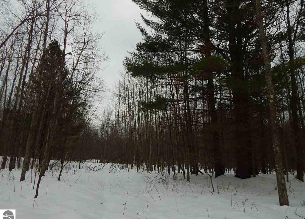 Lindy Rd, Thompsonville, Michigan 49683 Trophy Class Real Estate