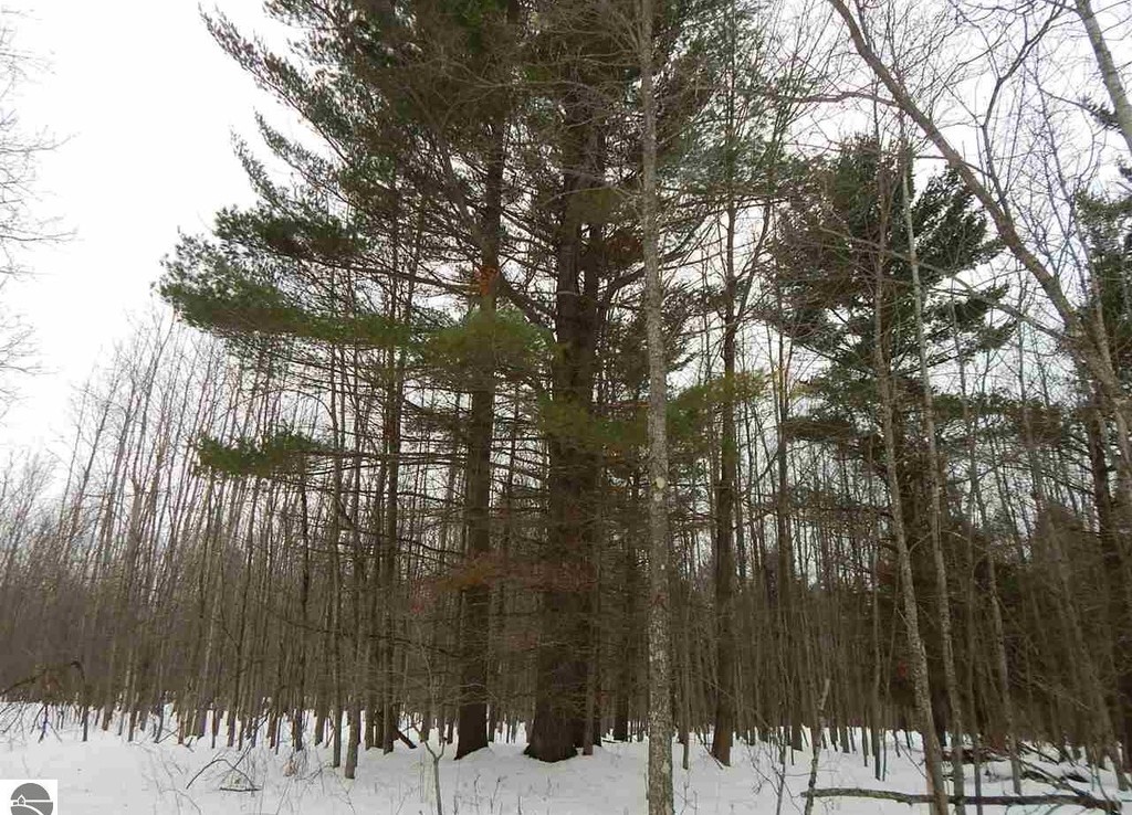 Lindy Rd, Thompsonville, Michigan 49683 Trophy Class Real Estate