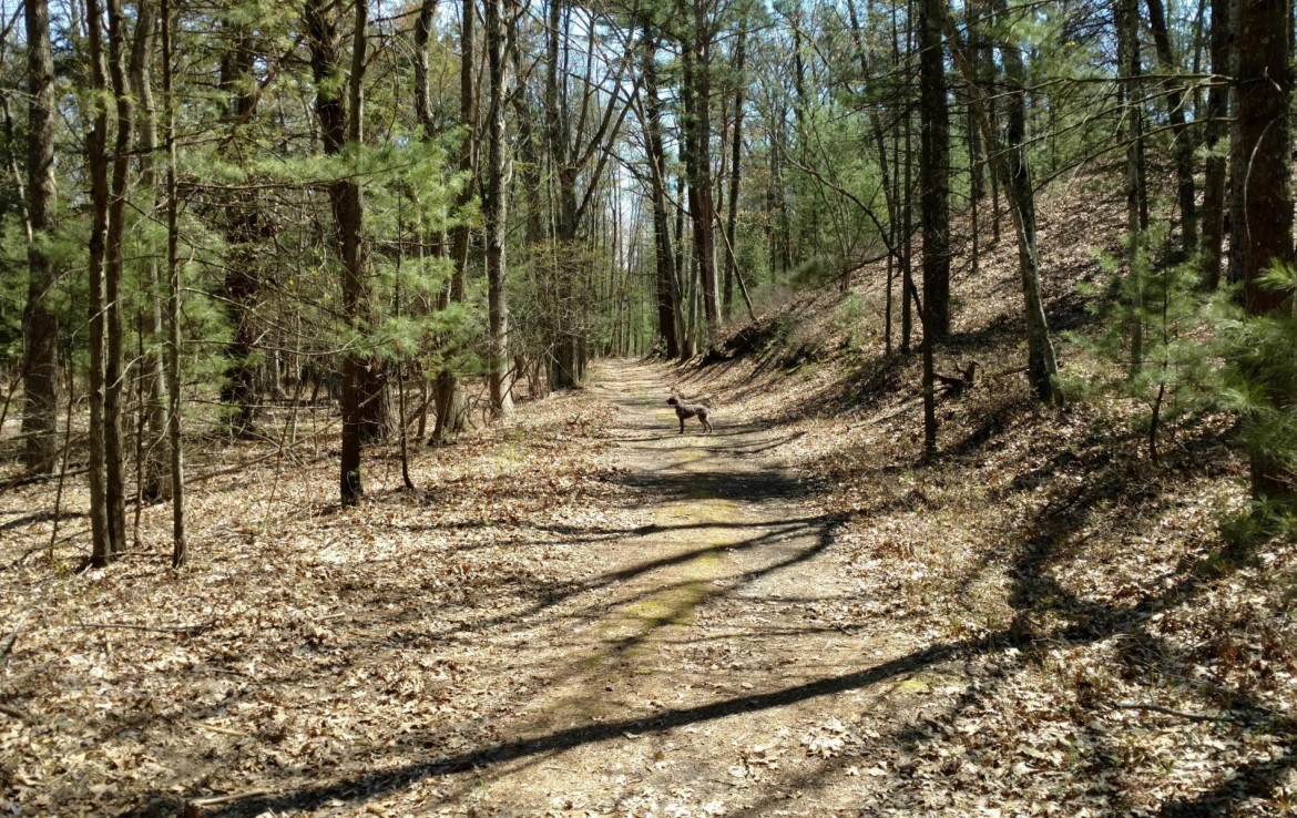 Pentwater Michigan Property For Sale 40+ Acres 00 BR US31 Pentwater