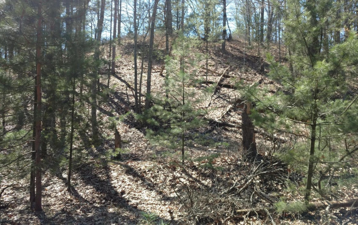 Pentwater Michigan Property For Sale 40+ Acres 00 BR US31 Pentwater