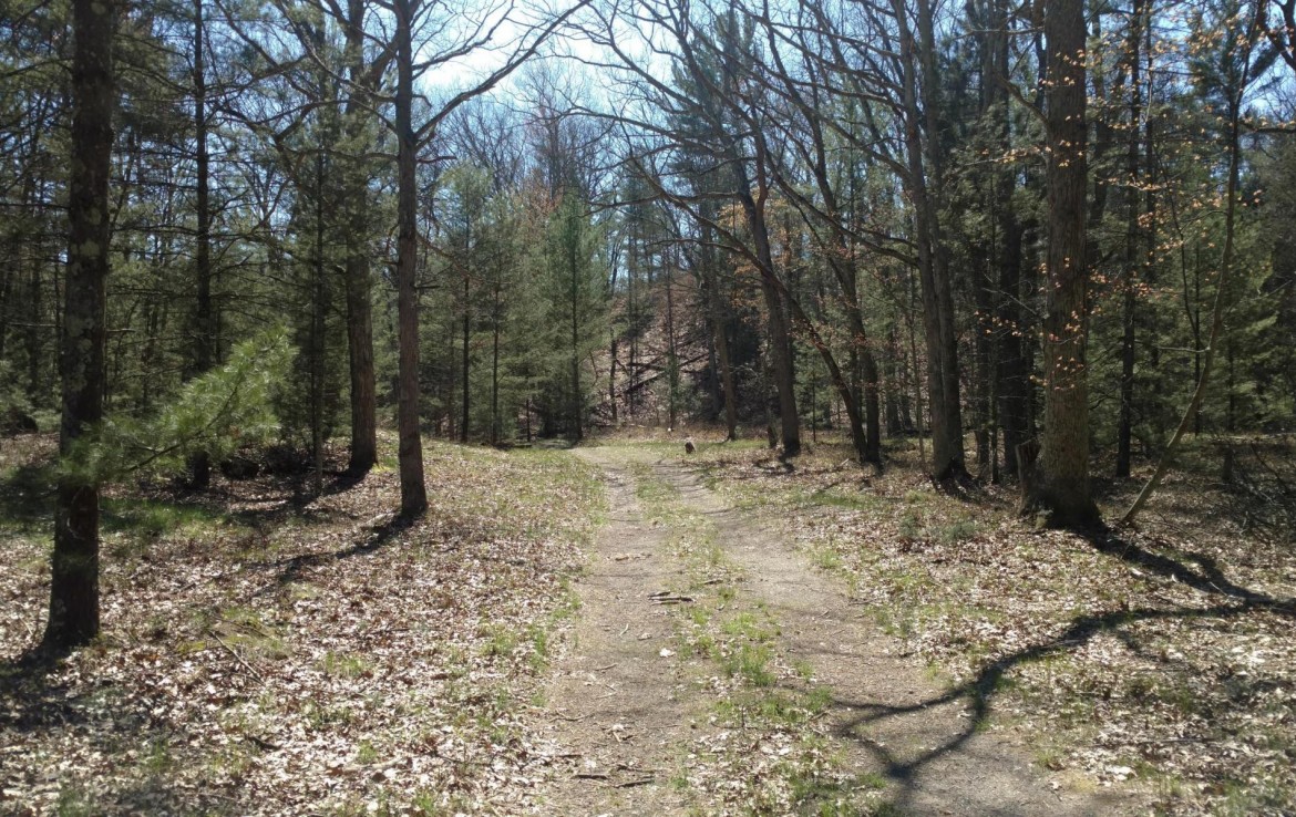 Pentwater Michigan Property For Sale 40+ Acres 00 BR US31 Pentwater