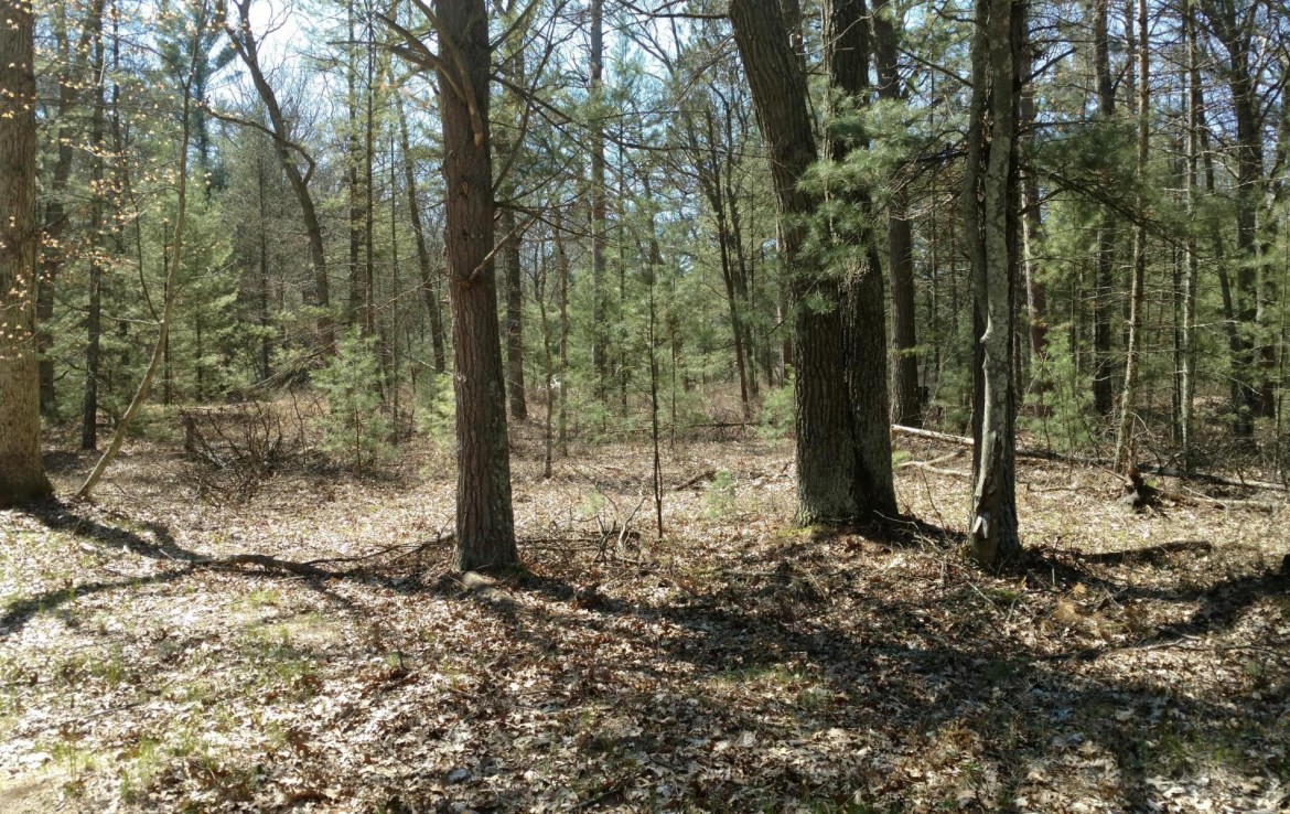 Pentwater Michigan Property For Sale 40+ Acres 00 BR US31 Pentwater Michigan.