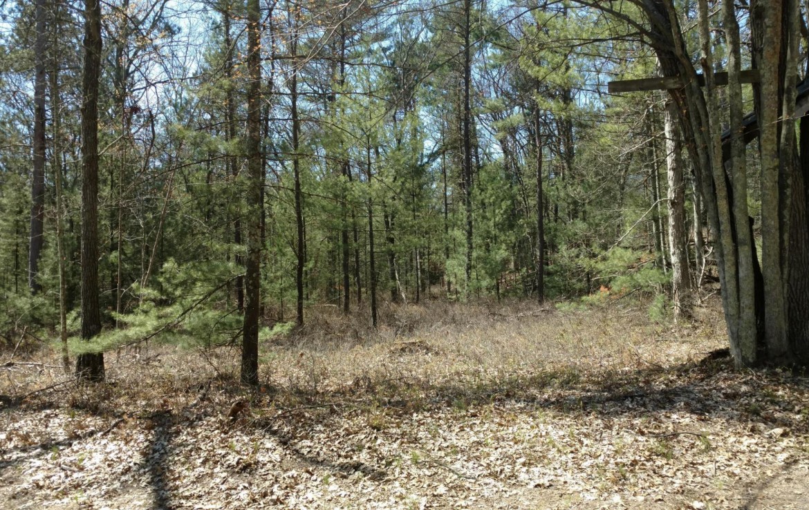 Pentwater Michigan Property For Sale 40+ Acres 00 BR US31 Pentwater