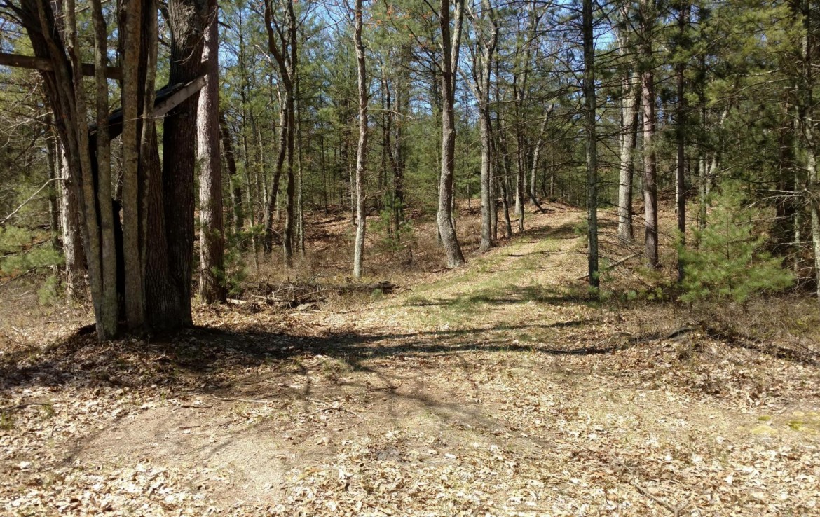 Pentwater Michigan Property For Sale 40+ Acres 00 BR US31 Pentwater