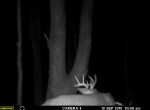 MOULTRIE DIGITAL GAME CAMERA