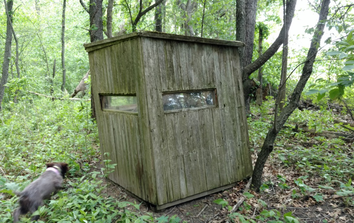 Deer Blind