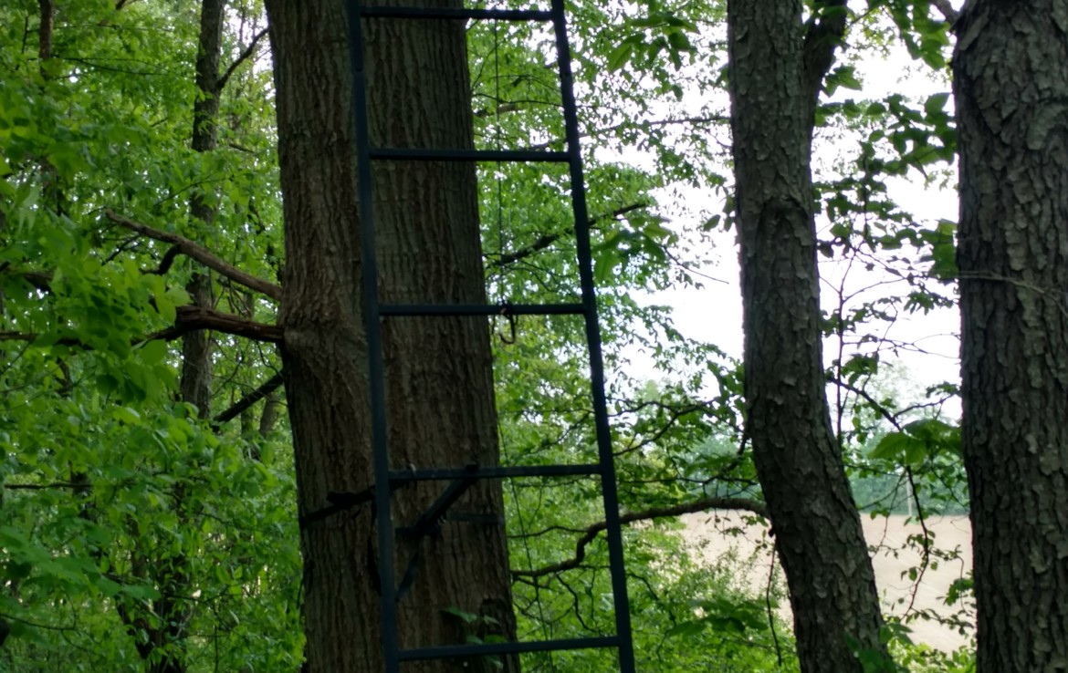 Tree Stand