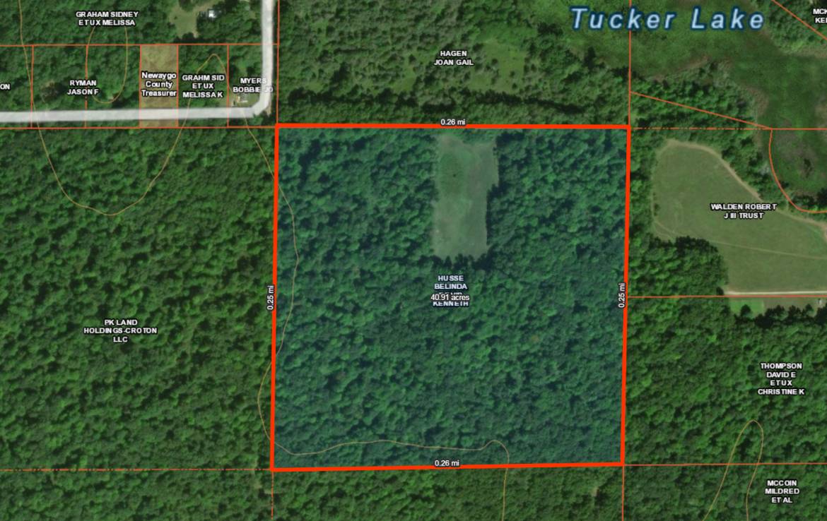 Newaygo County 40 Acres Michigan Hunting Land For Sale