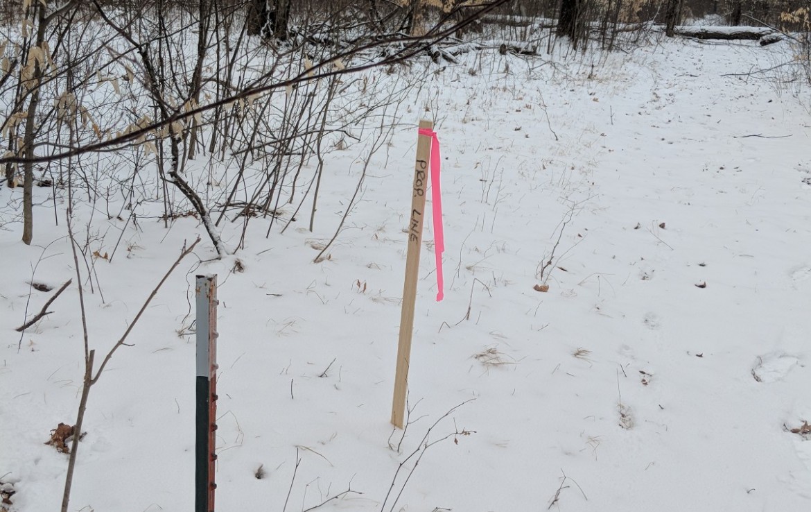 Newaygo County 40 Acres Michigan Hunting Land For Sale