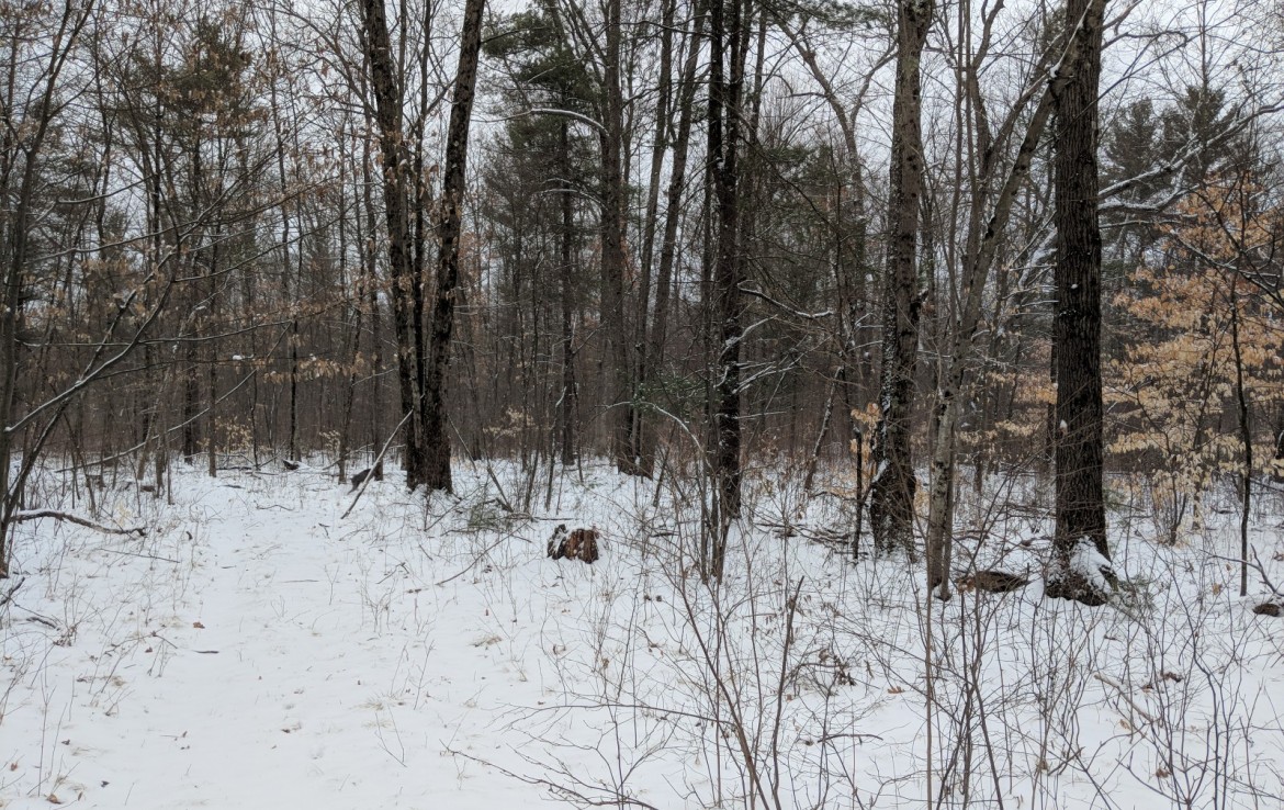 Newaygo County 40 Acres Michigan Hunting Land For Sale