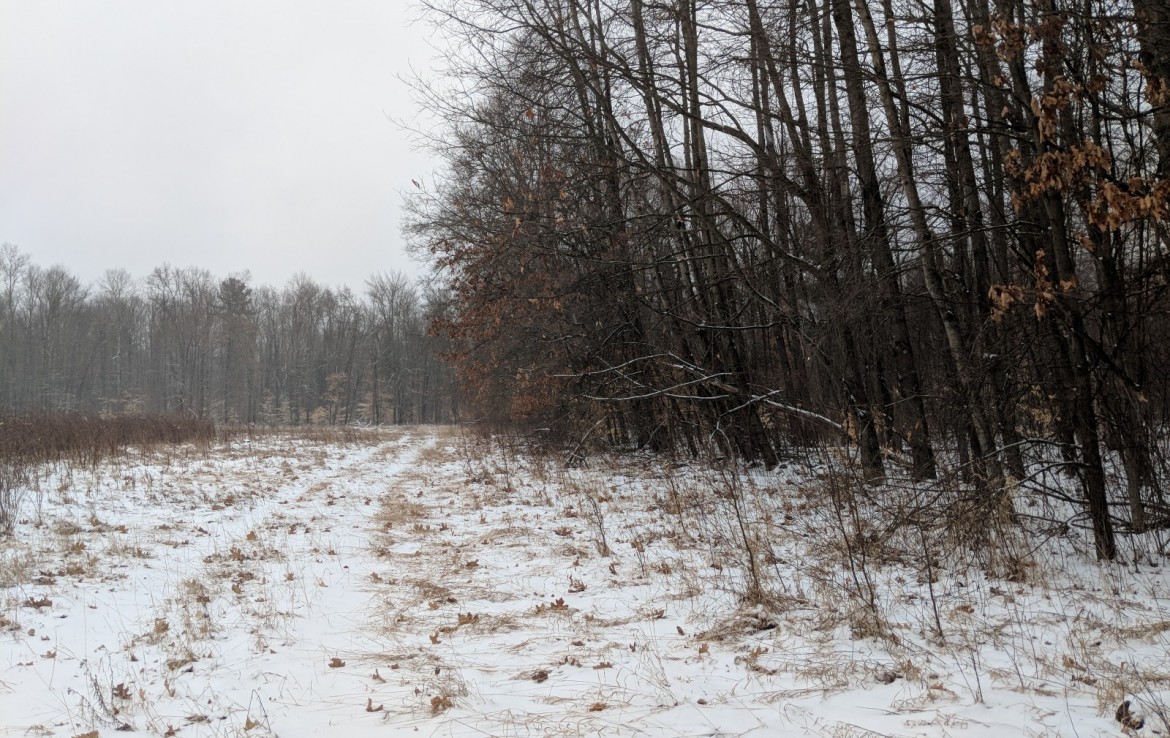 Newaygo County 40 Acres Michigan Hunting Land For Sale