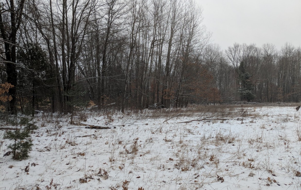 Newaygo County 40 Acres Michigan Hunting Land For Sale