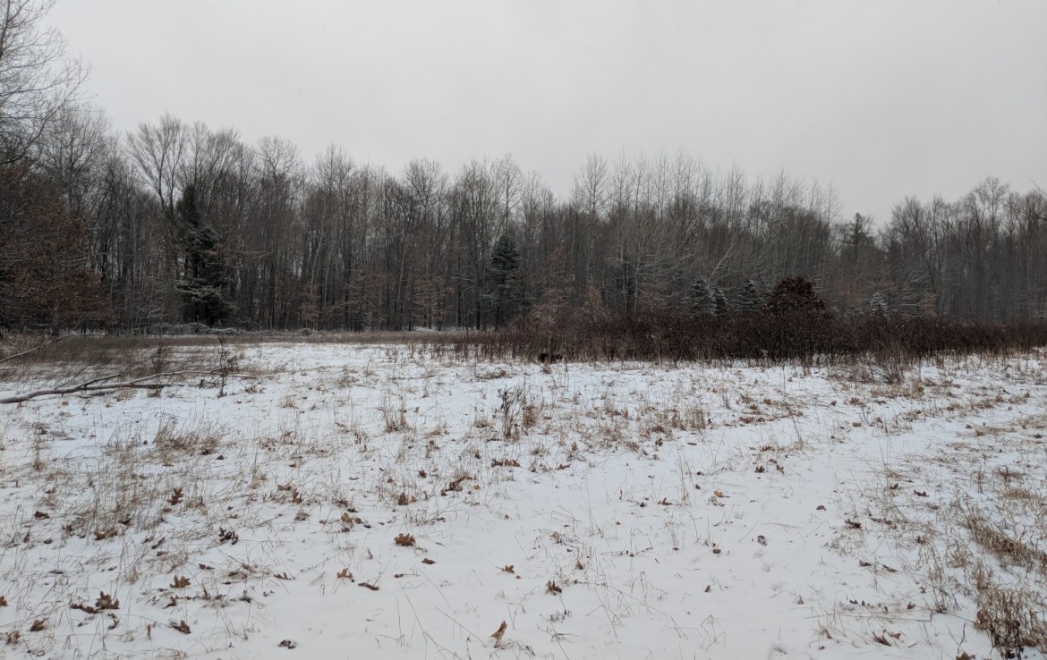 Newaygo County 40 Acres Michigan Hunting Land For Sale