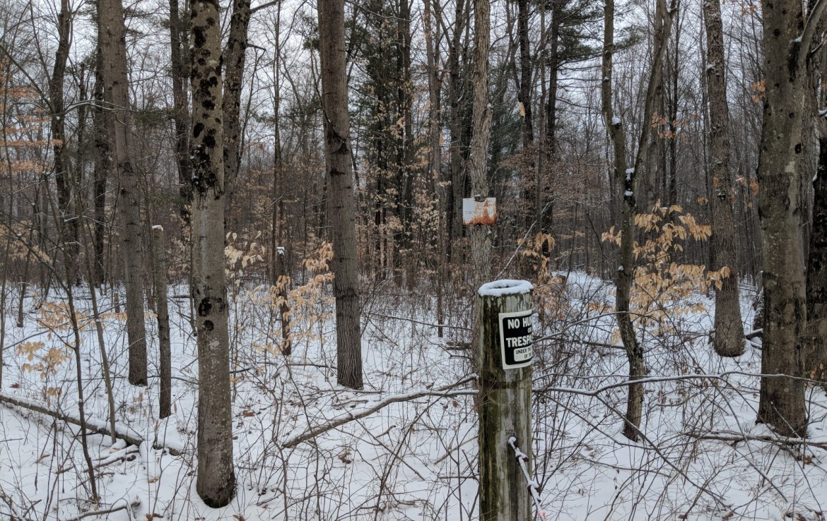 Newaygo County 40 Acres Michigan Hunting Land For Sale