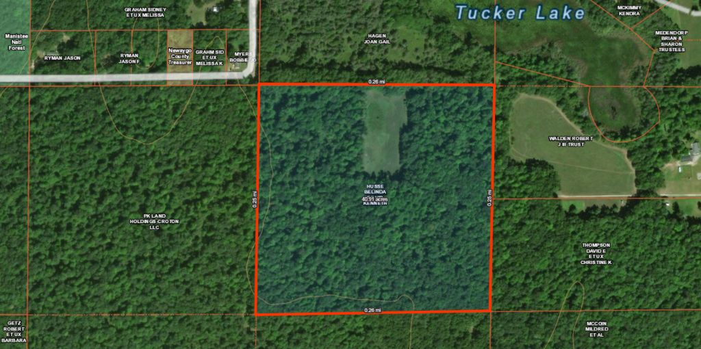 Newaygo County 40 Acres Michigan Hunting Land For Sale