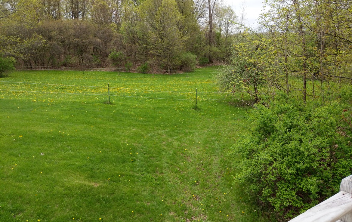 40 Acres For Sale Sand Lake Michigan. Michigan Hunting Land or Farm