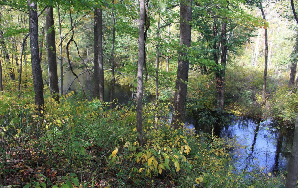 Michigan Blue Berry Farms For Sale, 28 Acre West Michigan Farm