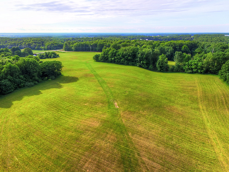 Michigan Farm Land