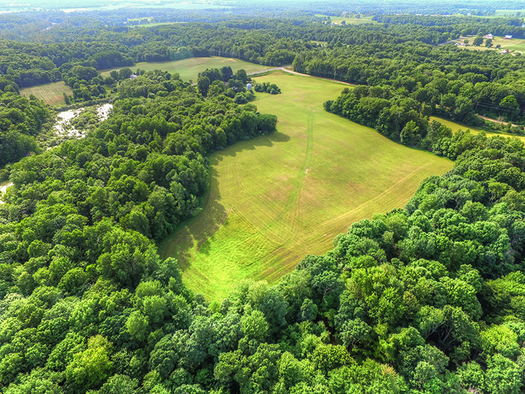 40 Acres For Sale Sand Lake Michigan. Michigan Hunting Land or Farm