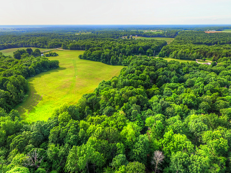 40 Acres For Sale Sand Lake Michigan. Michigan Hunting Land or Farm