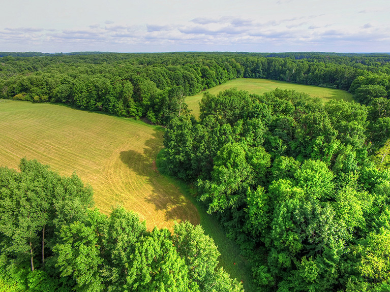 Hay Fields in Michigan