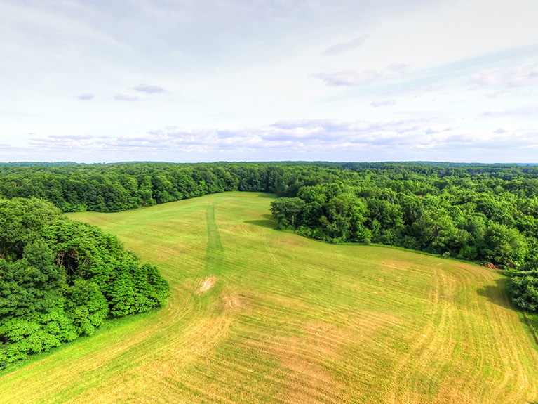 40 Acres For Sale Sand Lake Michigan. Michigan Hunting Land or Farm