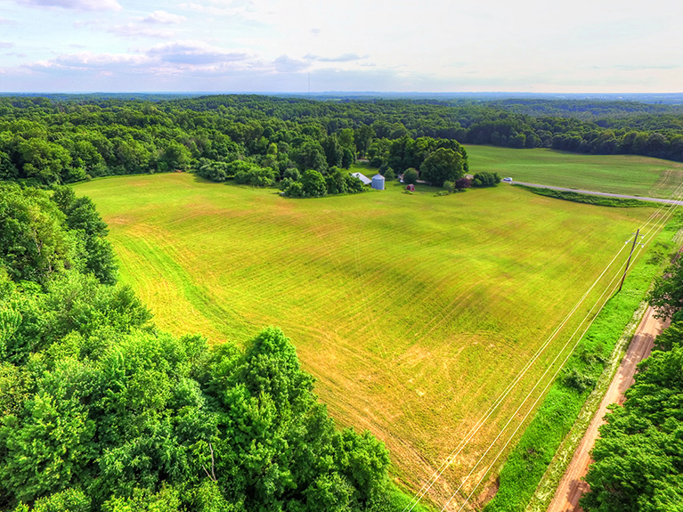 40 Acres For Sale Sand Lake Michigan. Michigan Hunting Land or Farm