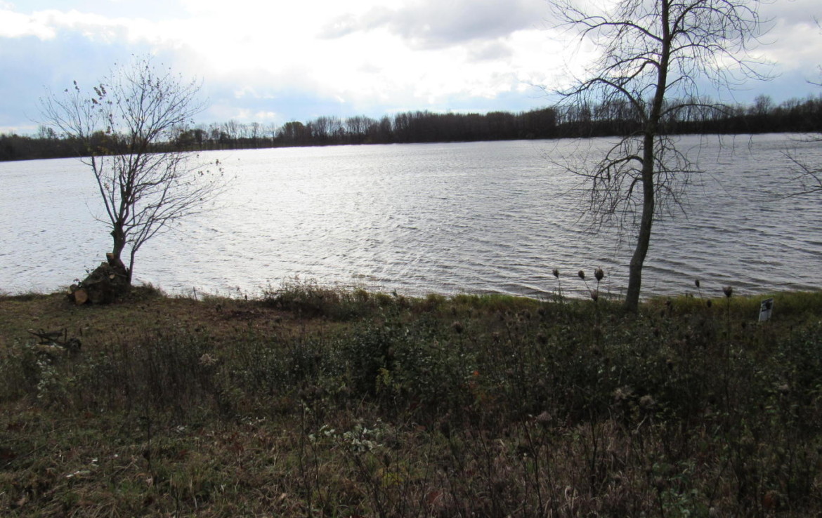 7 Reasons to Consider Land for Sale in Upper Michigan with Trophy Class