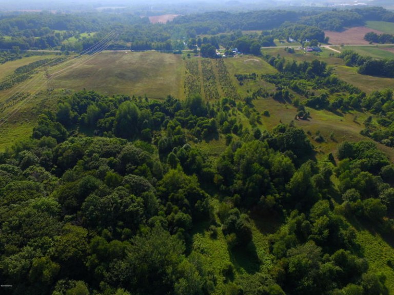 Searching for Hunting Property for Sale? Trophy Class Has You Covered.