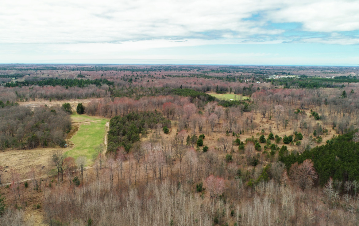 432 E. Koenig Road, Free Soil, MI 49411 150 Diverse Acres Trophy