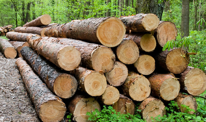 Big Deadline for Commercial Forest Participants
