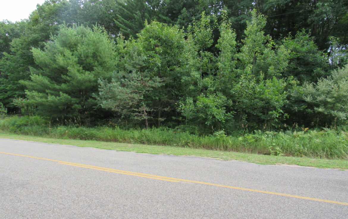 9101 Johnson Road, Kaleva, MI 49645 Chief Lake Frontage Trophy Class