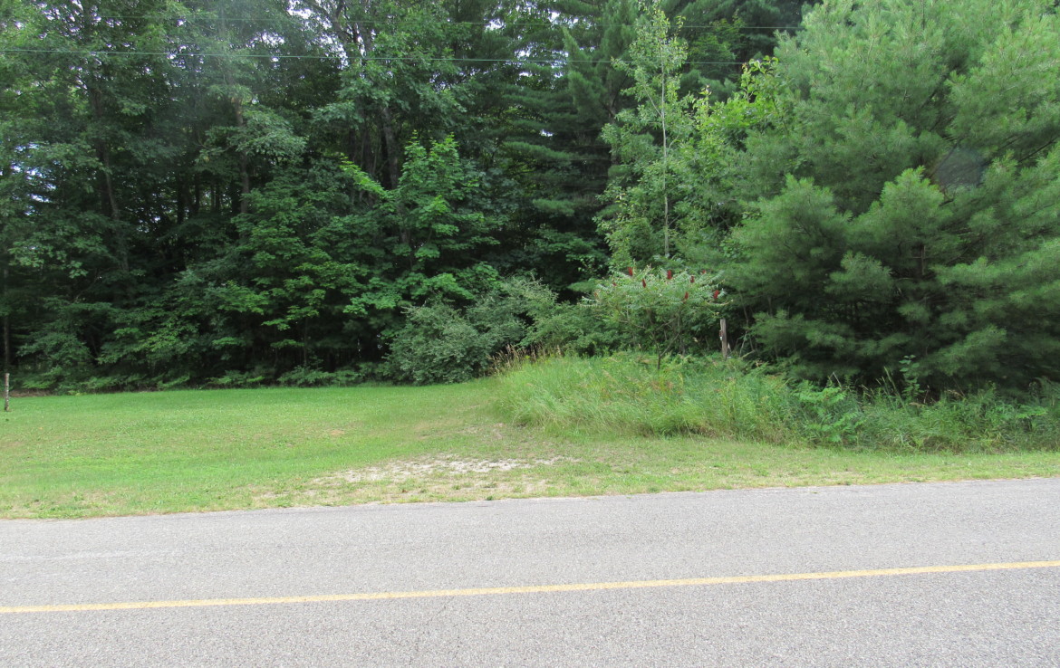 9101 Johnson Road, Kaleva, MI 49645 Chief Lake Frontage Trophy Class