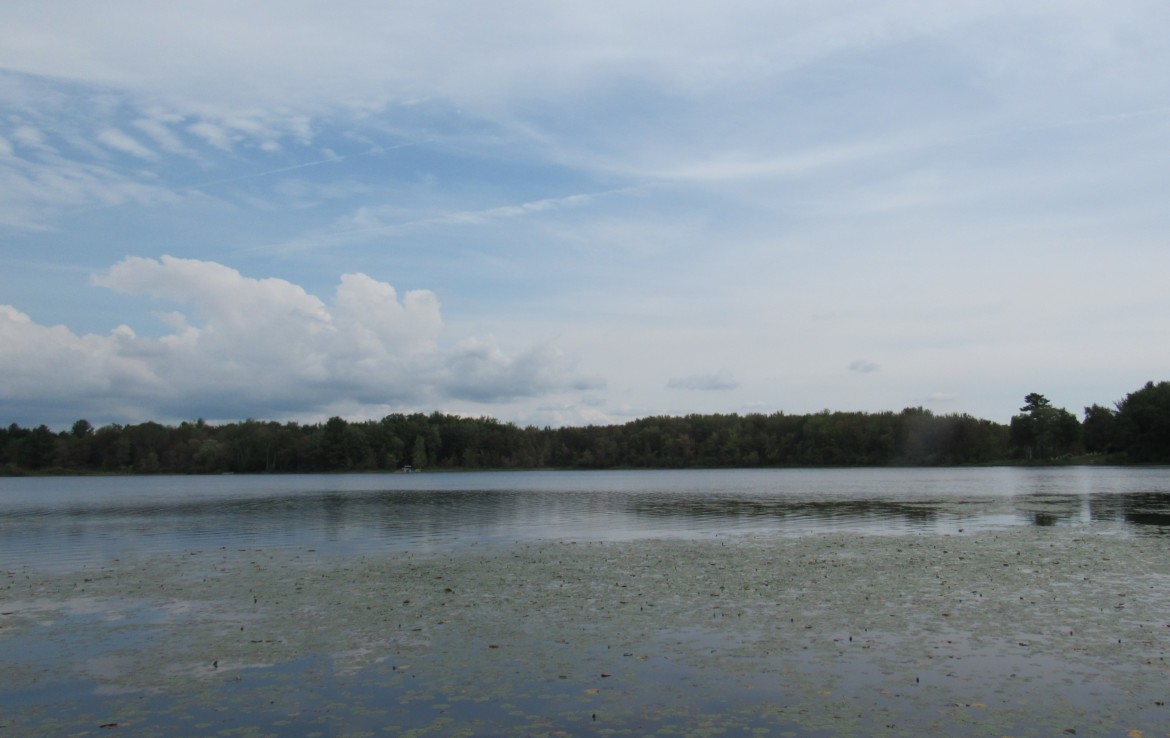 9101 Johnson Road, Kaleva, MI 49645 Chief Lake Frontage Trophy Class