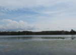 IMG_1967
