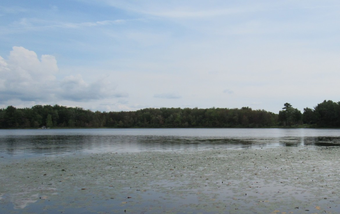 9101 Johnson Road, Kaleva, MI 49645 Chief Lake Frontage Trophy Class