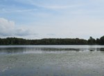 IMG_1966