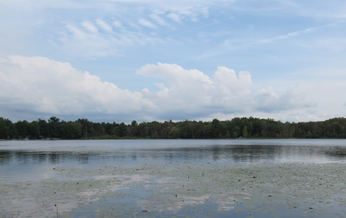 9101 Johnson Road, Kaleva, MI 49645 Chief Lake Frontage Trophy Class