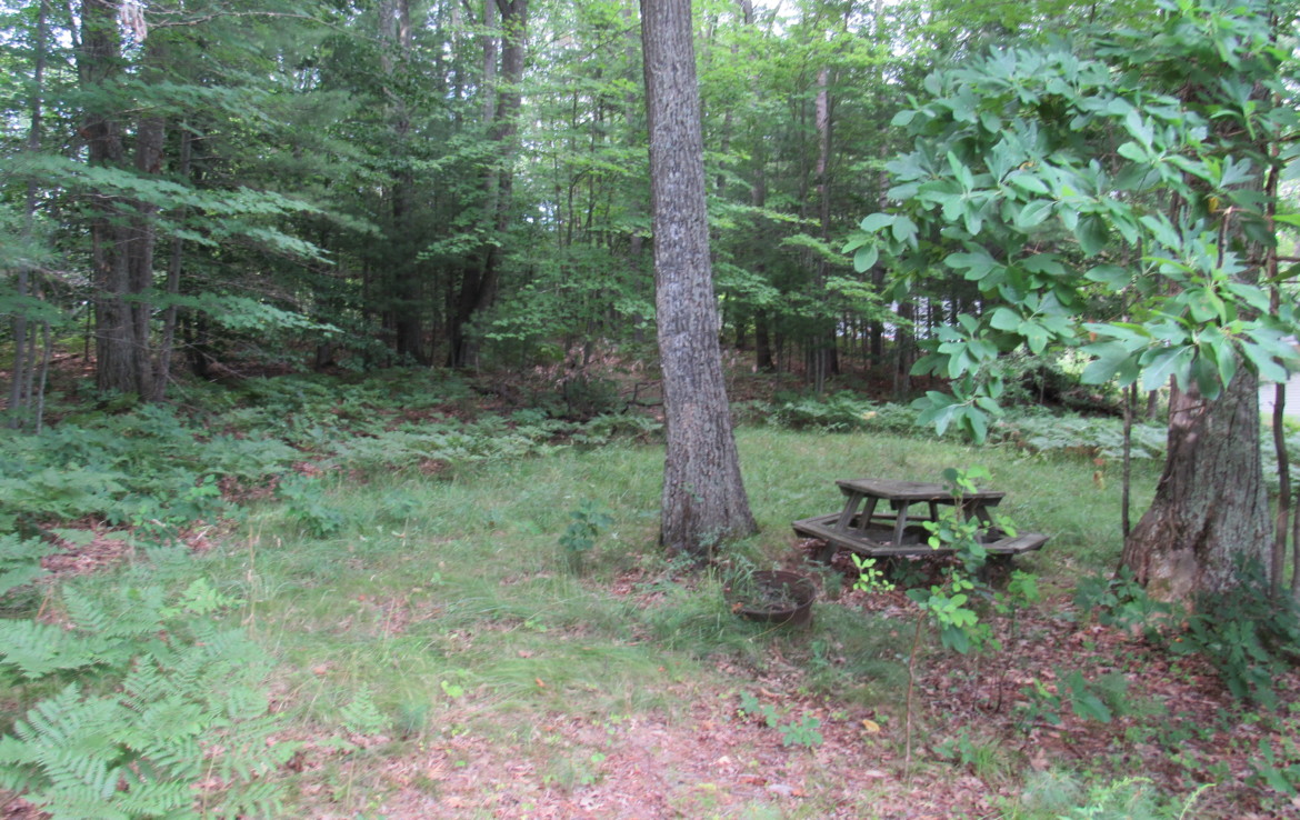 9101 Johnson Road, Kaleva, MI 49645 Chief Lake Frontage Trophy Class