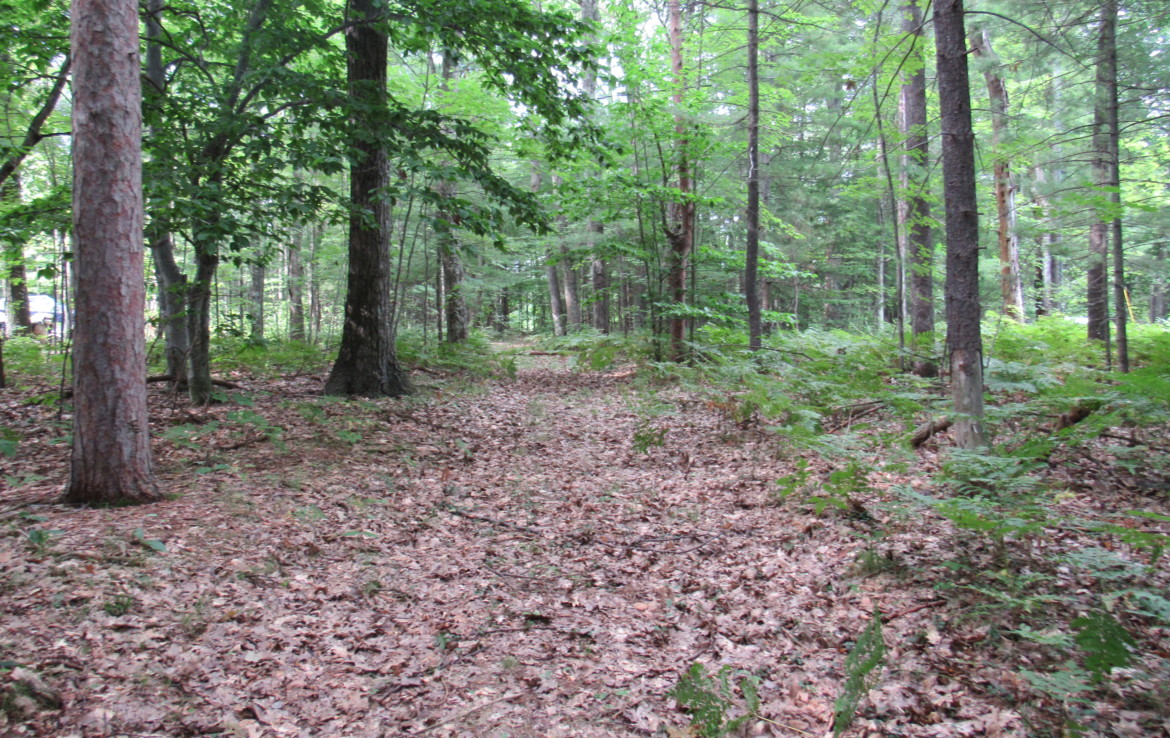 9101 Johnson Road, Kaleva, MI 49645 Chief Lake Frontage Trophy Class