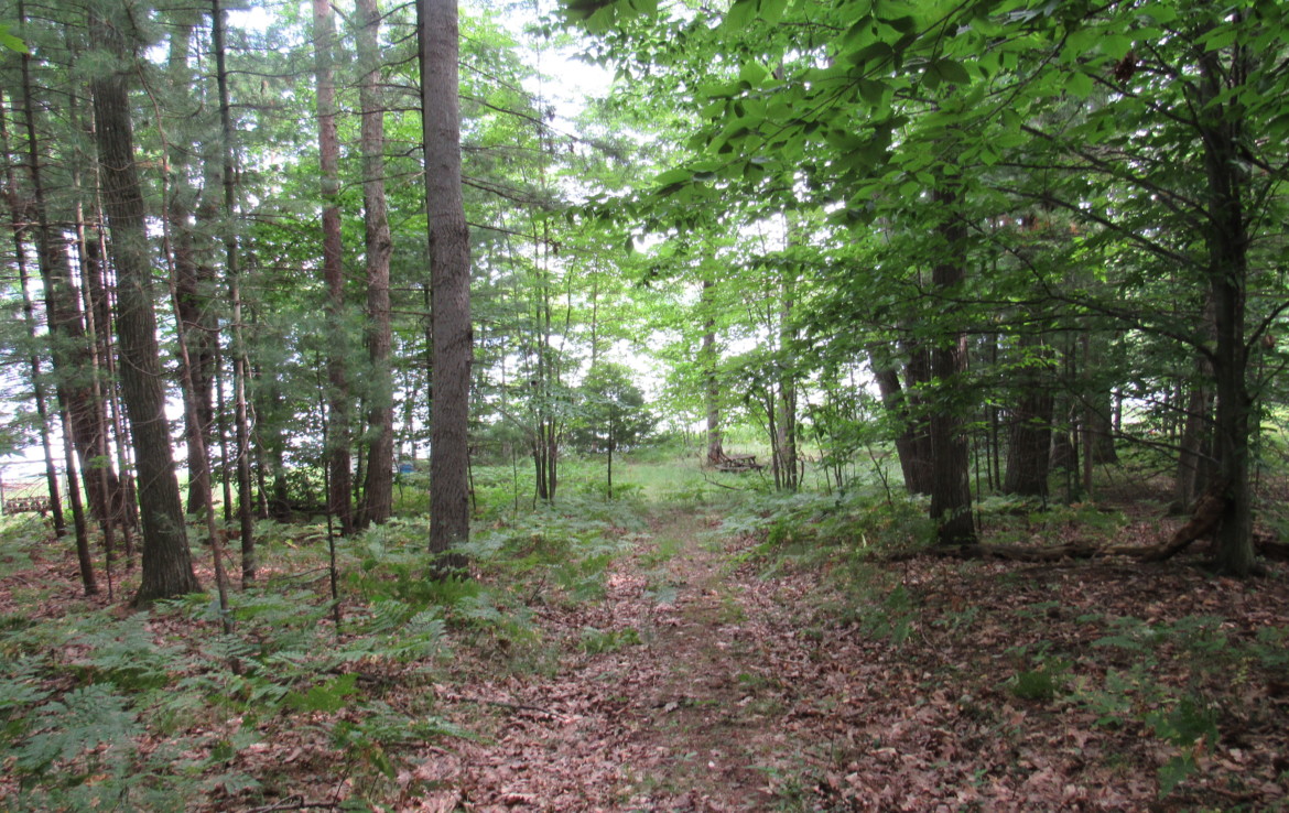 9101 Johnson Road, Kaleva, MI 49645 Chief Lake Frontage Trophy Class