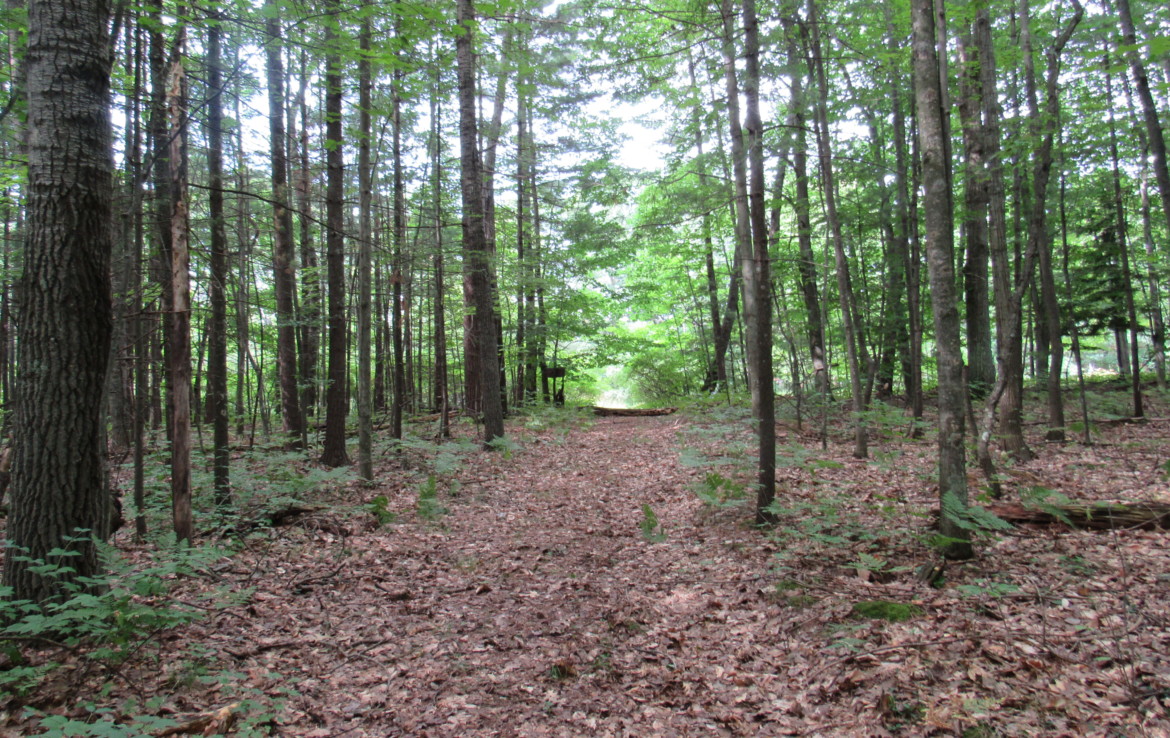 9101 Johnson Road, Kaleva, MI 49645 Chief Lake Frontage Trophy Class