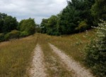 IMG_20190826_135122029