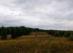 IMG_20190826_134942498